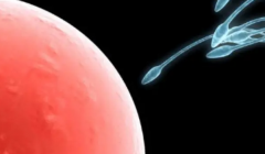 长沙私立医院新动向：三代试管技术领先机构大盘点