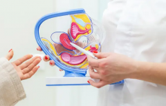 新疆最受欢迎的生殖助孕医院，别再盲目选择了！