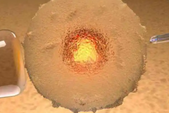 不孕不育的福音！上海三强医院专业解析，助您好孕成真