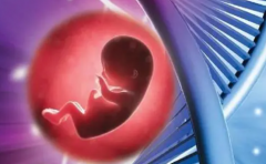 上海试管领域佼佼者，这些医院你值得拥有！