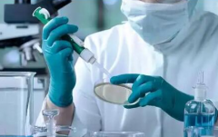试管新突破：女性蚕豆病患者可选择性别，阻断遗传病！