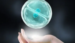 攀枝花妇幼试管费用大揭秘！省钱攻略+成功率详解