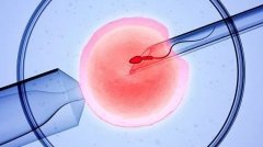 揭秘北京试管移植保胎成功率，这些医院排名领先！