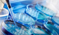 赤峰三大不孕不育医院，各具特色助力求子梦