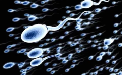 马来西亚试管排名揭晓：选择医院三大攻略，助您明智决策！