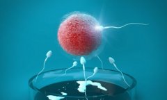 收藏！珠海三代试管医院制定个性化治疗方案