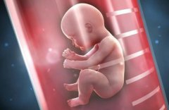 昆明三代试管移植2个胚胎的主要原因及风险