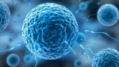 孕初期揭秘：这几个征兆暗示你可能是双胞胎妈妈！