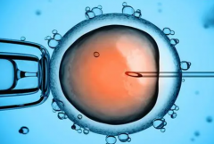 江阴试管优选：市人民医院专业领航，助您好孕成真