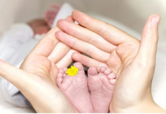 自然周期移植胚胎：优势多多，注意事项全解析！