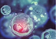 深圳试管医院精选：这几家医院，助您圆梦好孕！