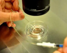 武汉排名第一的试管医院是哪家？有三家医院试管技术都不错的标题