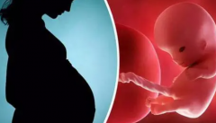 吉安试管医院大观：成功率与费用详情，助您明智选择！