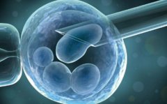 精子质量如何影响试管的成功率？有哪些方法可以提高男性精子质量？