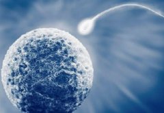 试管移植冻胚胎降级提高成功率的方式分析及适用人群