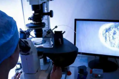 上海试管优选名单，专业优势一目了然