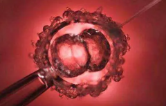 兰大一院试管技术揭秘：成功率高的背后有哪些优势？