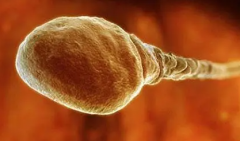 乌鲁木齐试管医院大比拼，新疆医科大学第一附属医院为何脱颖而出？