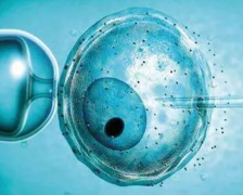 上海生殖中心排名揭晓，知名医院榜单，一览无余！