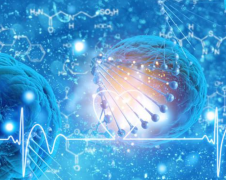 日本试管机构深度揭秘：排名前三医院名单揭晓，一文速览！