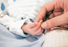 三级囊胚养成揭秘：成功率高达50%，孕育新生命的希望之光！