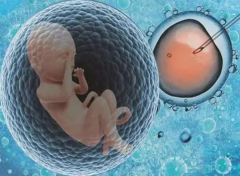 上海试管医院精选：技术出众，成功率卓越，这两家值得推荐！