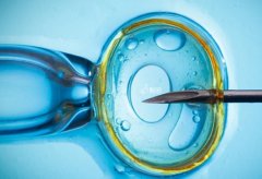 囊胚个数对试管成功率的影响，如何确定优质囊胚？