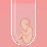 云南试管费用全解析：2023年最新费用明细及预算指南