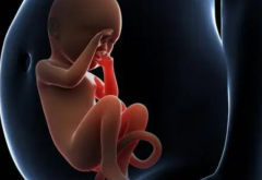 泰国试管全攻略大公开：费用明细+详细流程，一文全掌握！