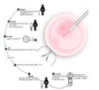 贵阳试管选性别医院大全！附详细医院介绍，助你圆梦！