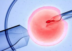 2023年试管：双胞胎费用真比单胎贵吗？揭秘收费标准与价格差异