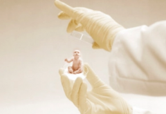 4aa囊胚移植条件大公开！子宫内膜健康是必备条件之一哦！