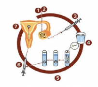 上海试管医院精选TOP3，口碑最好的医院大揭秘！