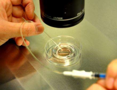 上海三代试管医院要啥资质？揭秘不同级别医院的达标标准！