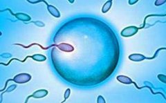 为什么要选择试管技术呢？上海试管详细费用