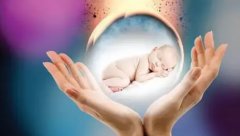 囊胚移植的成功率有多少？囊胚移植前的注意事项