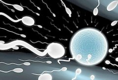 HIV患者做三代试管的医疗方案分析及优势和局限性介绍