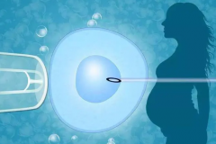 广西试管机构详解：专业服务，助力未婚生育梦想！