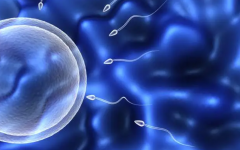 太原人工授精医院深度剖析，成功率与特色并重！