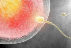 <b>国内助孕生子医院精选，专业团队为您打造个性化助孕方案</b>