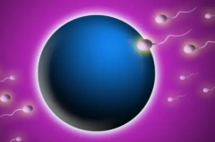 南京哪家医院试管助孕，有望实现“男宝梦”？