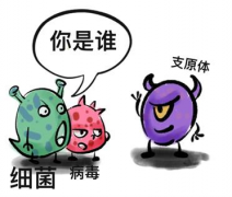 支原体阳性对试管有影响吗？如何预防支原体感染？
