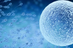 泰安助孕新选择！这三家医院领跑试管排行榜