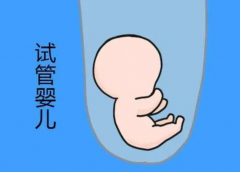 美国第一名试管机构怎么样？内附优势和多元化方案分析