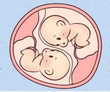 毕节高成功率试管医院精选，2024年助孕机构费用明细全解析