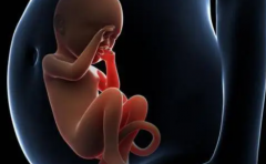 2024年梅州正规的助孕机构及两家热门生殖医院解析