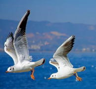 常德不孕不育治疗新指南：权威医院排名出炉，精选三家信赖之选