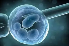 2024西安助孕机构名录揭晓，精选4家热门试管医院深度解读！