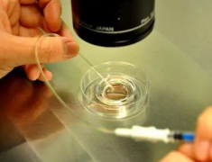 信阳高性价比试管医院揭秘：费用亲民，成功率领先，附医院详细介绍