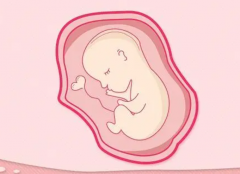 2024泰安三代试管选性别生男价格全解析：费用明细一览无遗